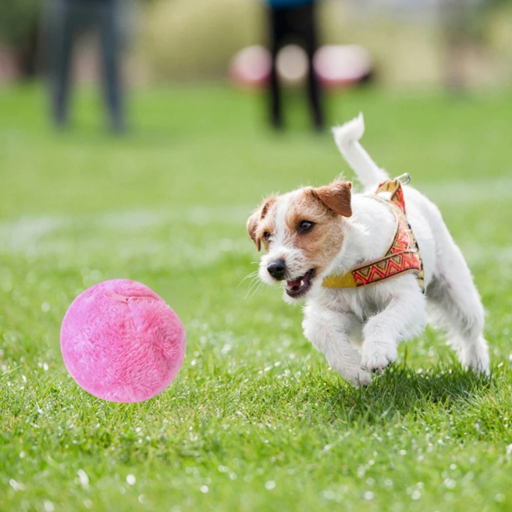 Fluffy Smart Self-Moving Active Dog Ball Toy